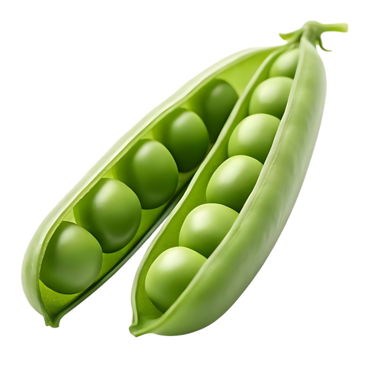 two peas on a white background