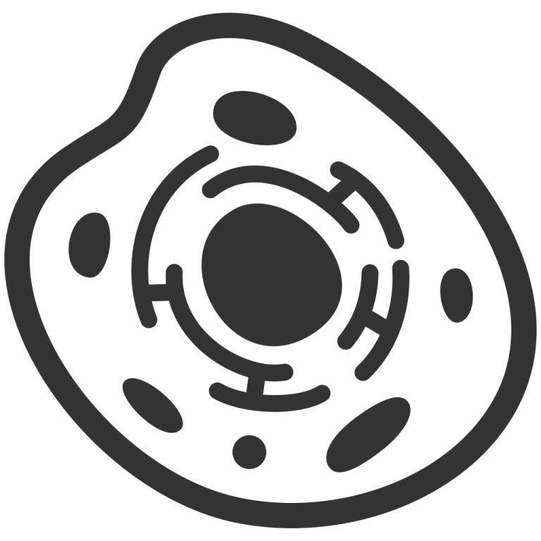 a black and white image of an egg