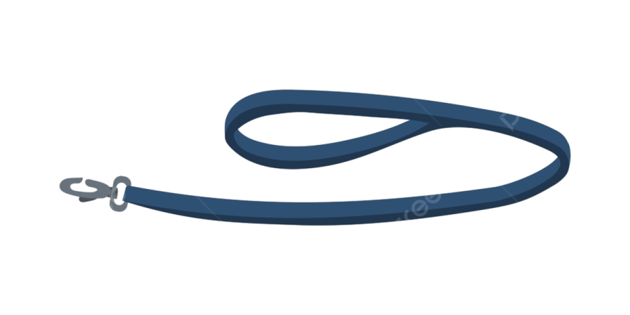 a blue leash on a white background