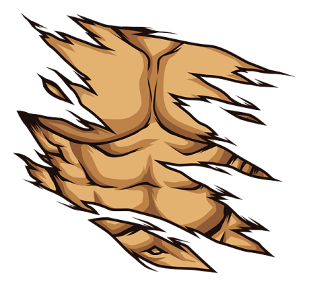 an image of a tiger's claws