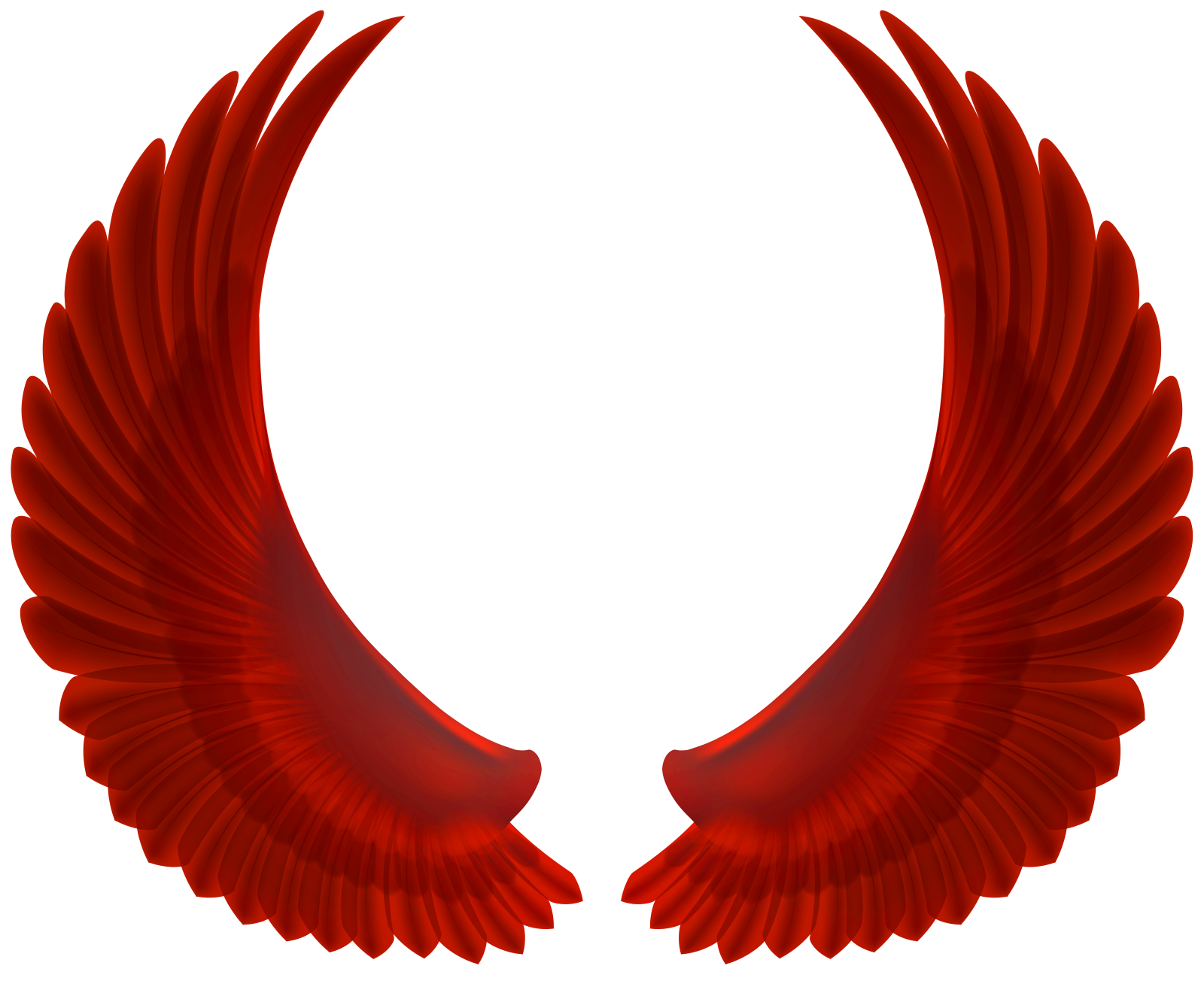 a pair of red wings