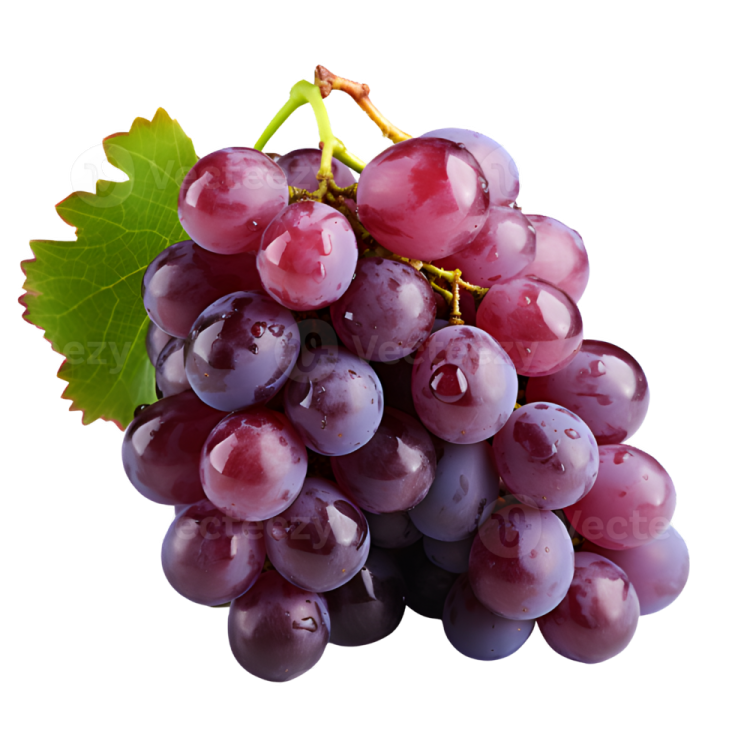a bunch of grapes on a white background