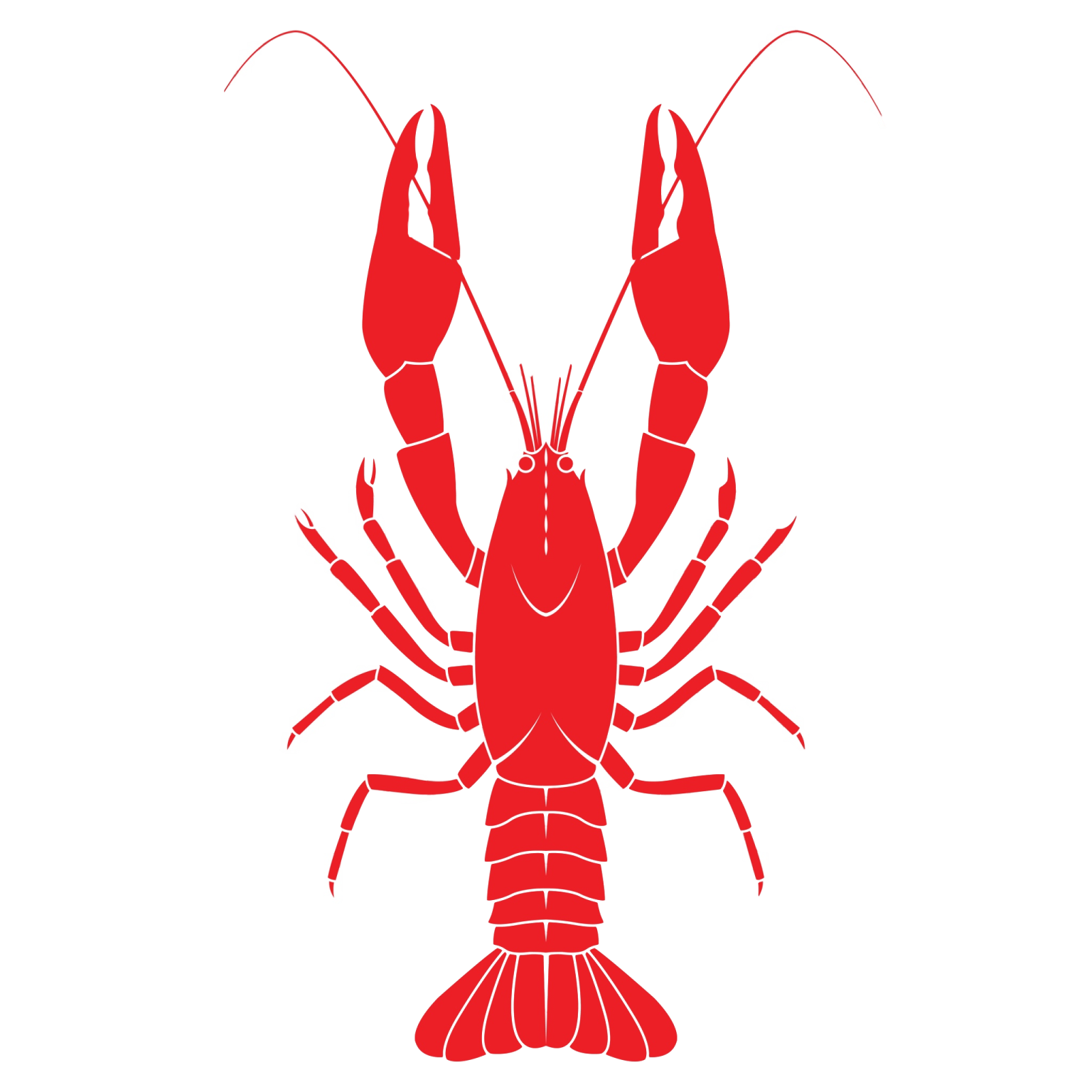 a lobster silhouetted on a white background