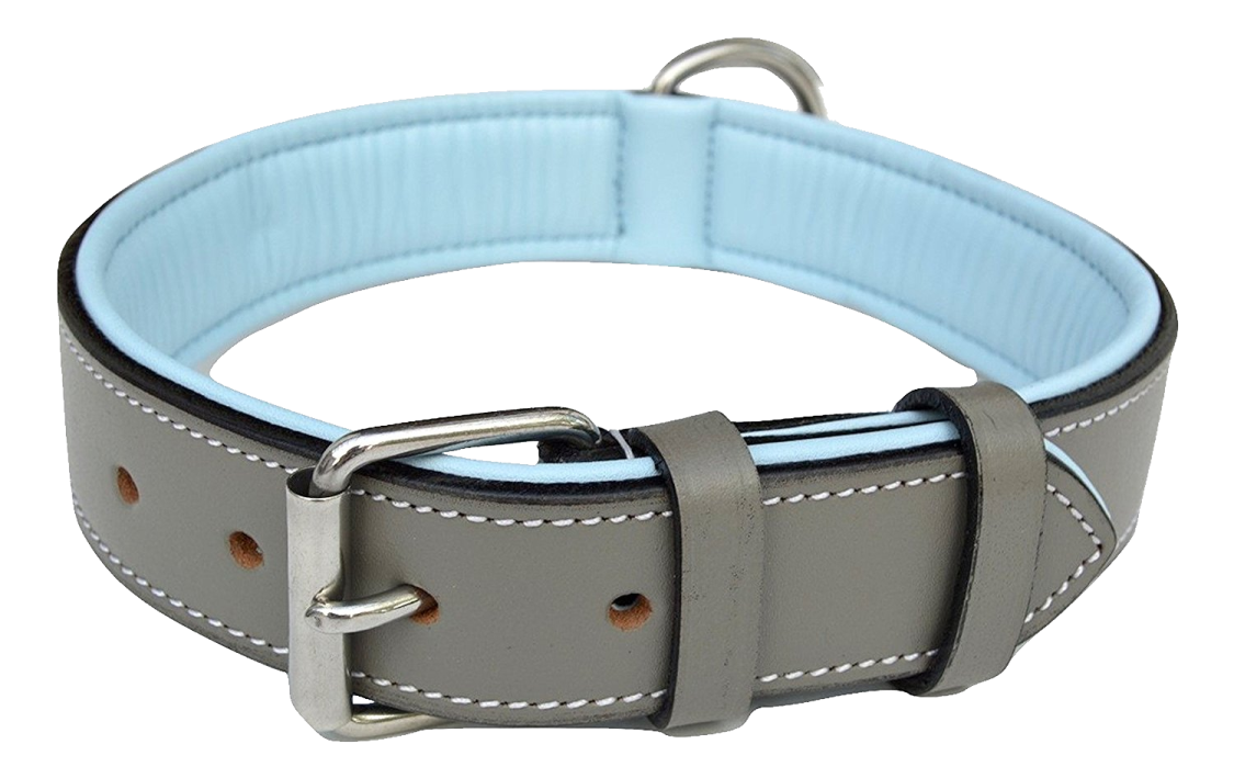 a light blue leather dog collar with white stitching