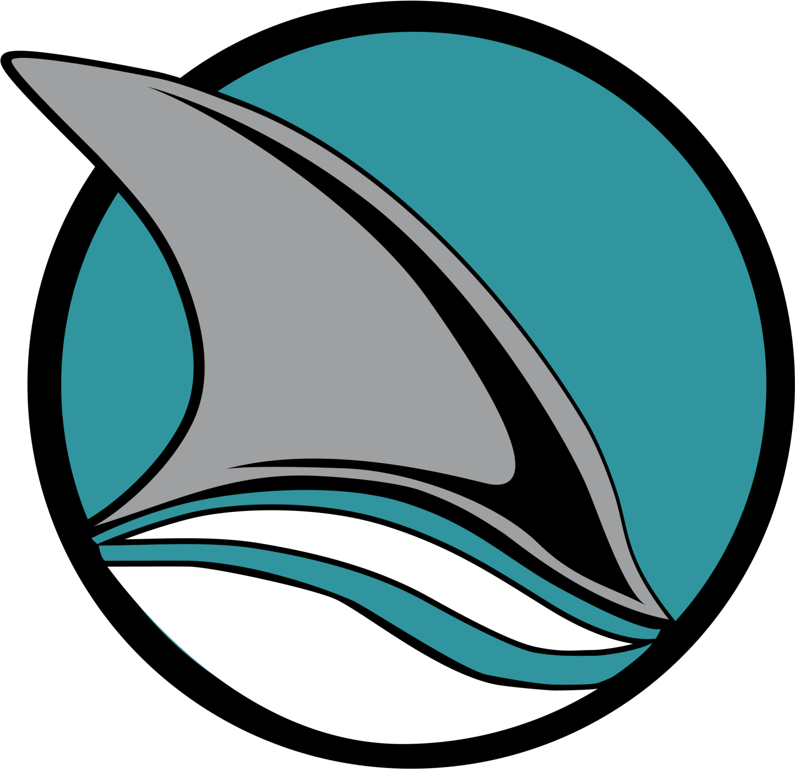 a dolphin swimming in a circle