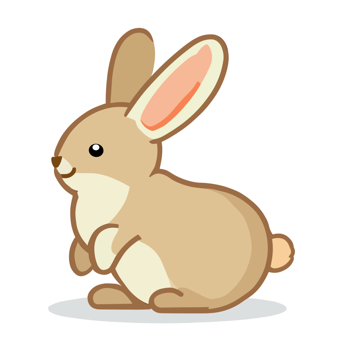 a brown rabbit sitting on the ground