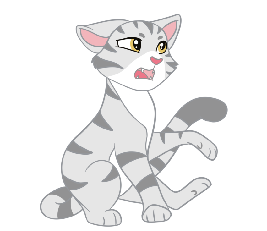 a gray and white cat with yellow eyes