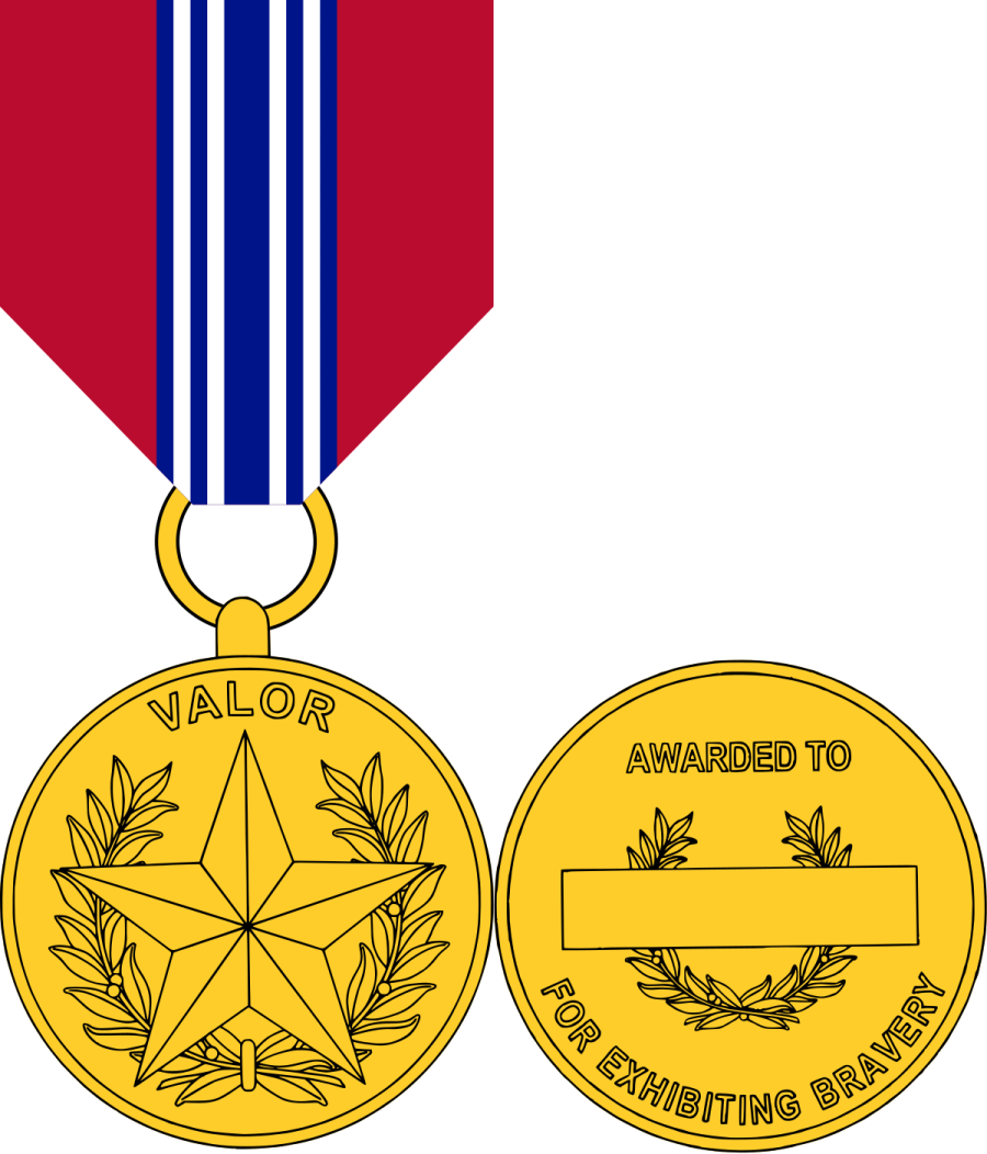 two medals with a red, white and blue ribbon