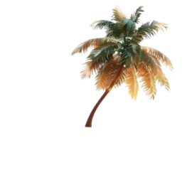a palm tree on a white background