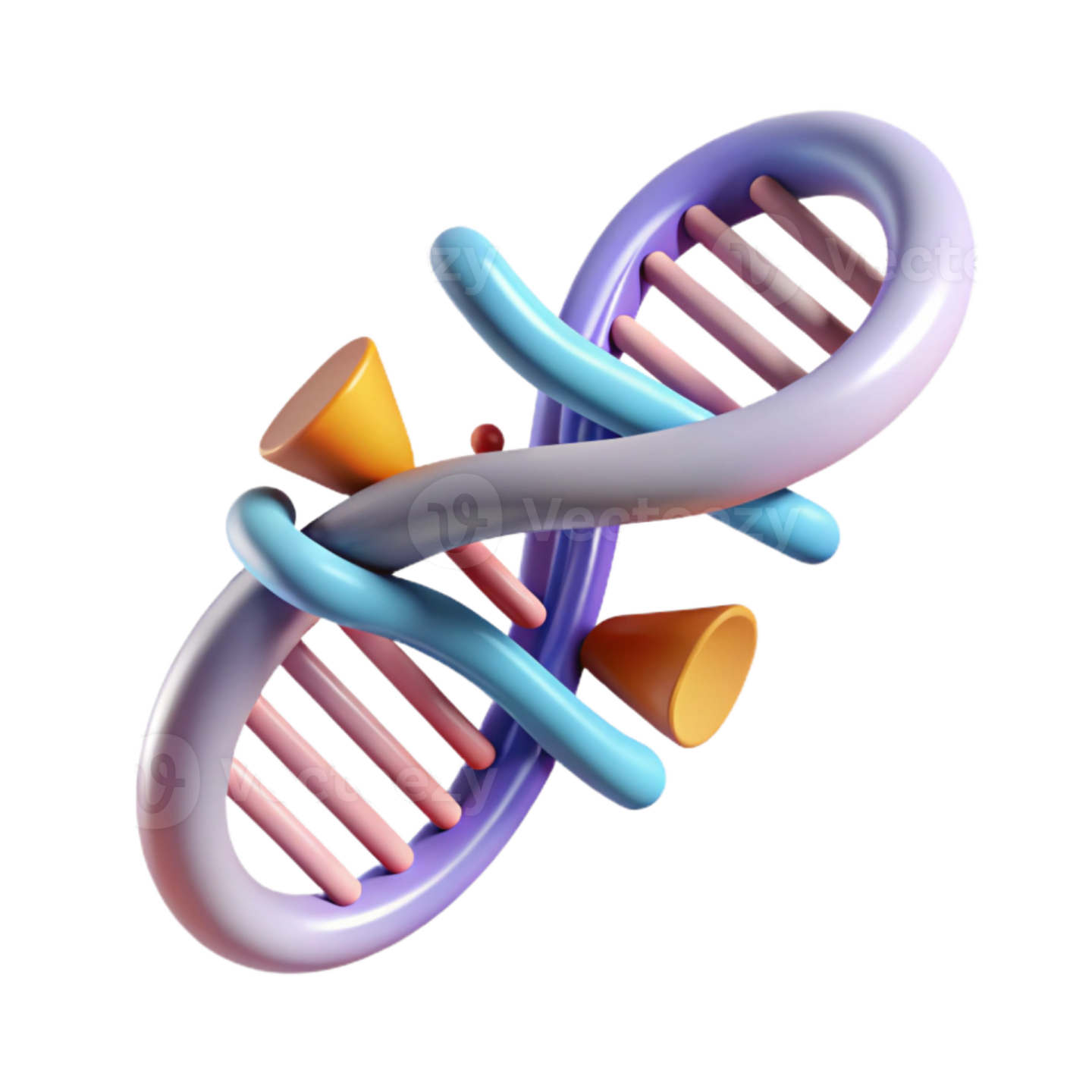 the structure of a dna molecule