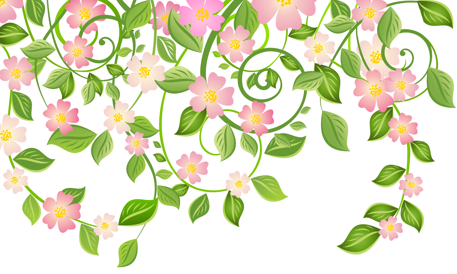 a bunch of pink flowers with green leaves