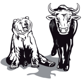 two black and white cows sitting next to each other animals
