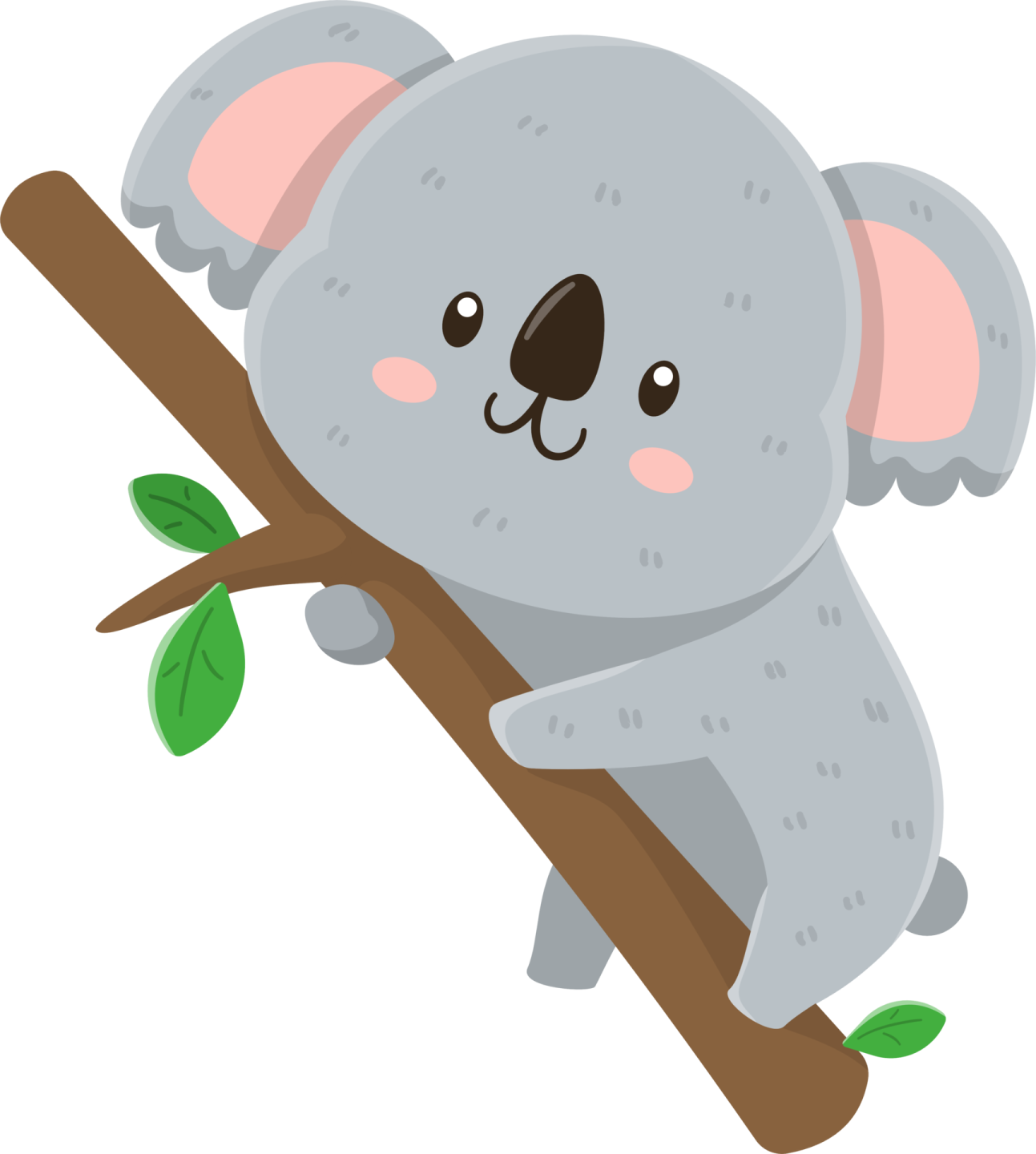 a cute kora bear sitting on a tree branch