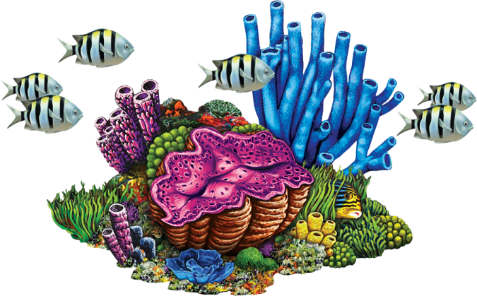 an underwater scene with corals and fish
