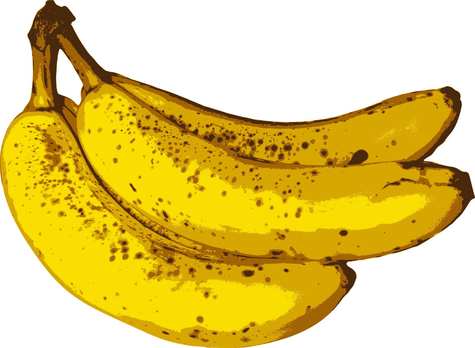a bunch of bananas