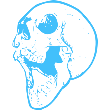 an image of a skull in blue ink