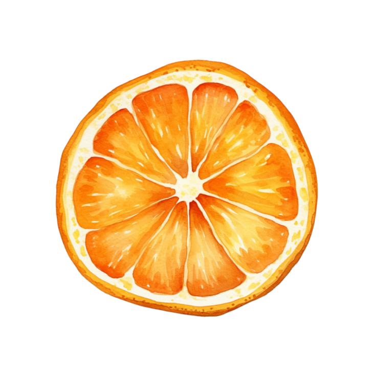 a watercolor painting of an orange slice