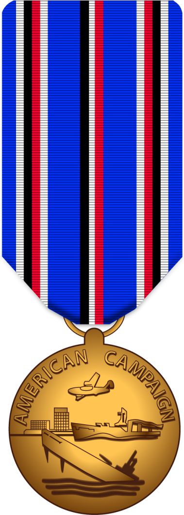 a medal with the american air force on it