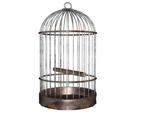 a bird in a cage on a white background