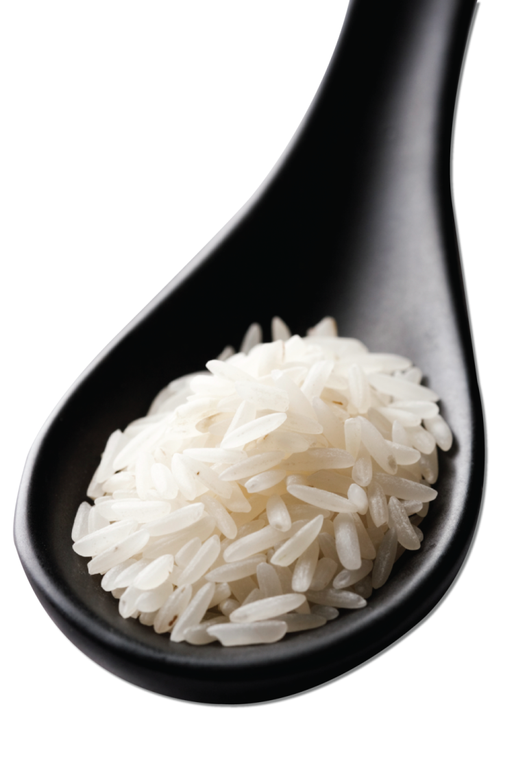 white rice in a black spoon