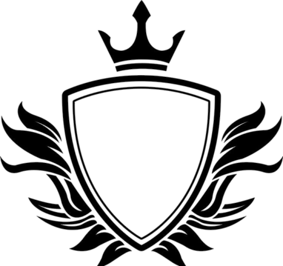 a black and white shield with flames around it