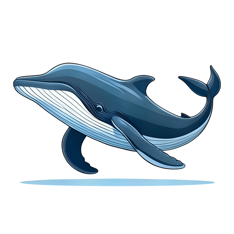 a whale jumping out of the water