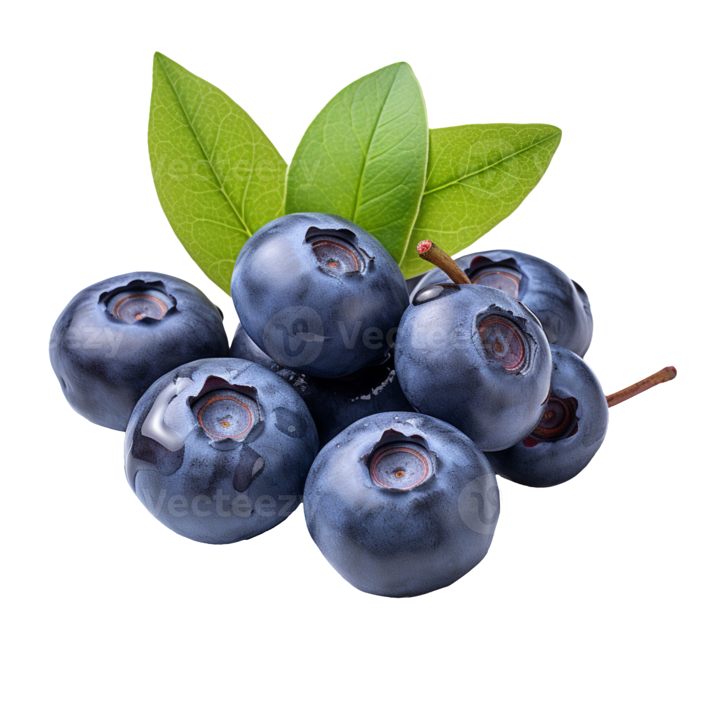 blueberries with leaves on a white background
