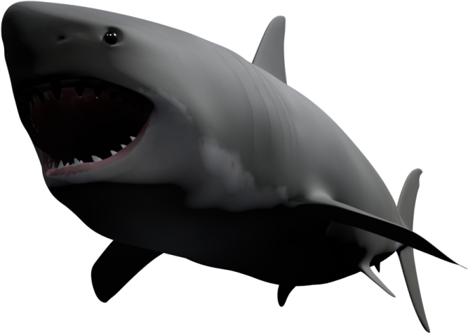 a great white shark with its mouth open
