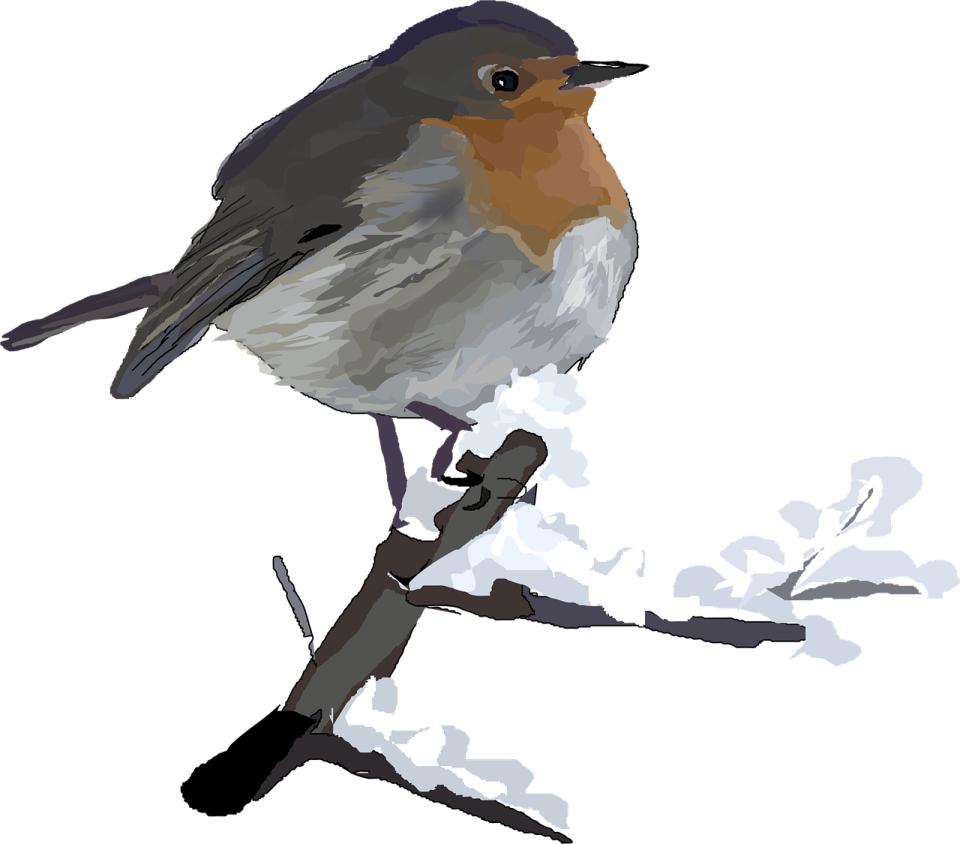 a bird sitting on top of a branch