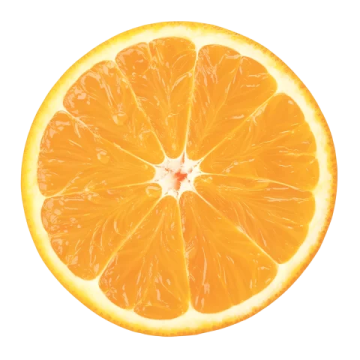 an orange slice on a white background