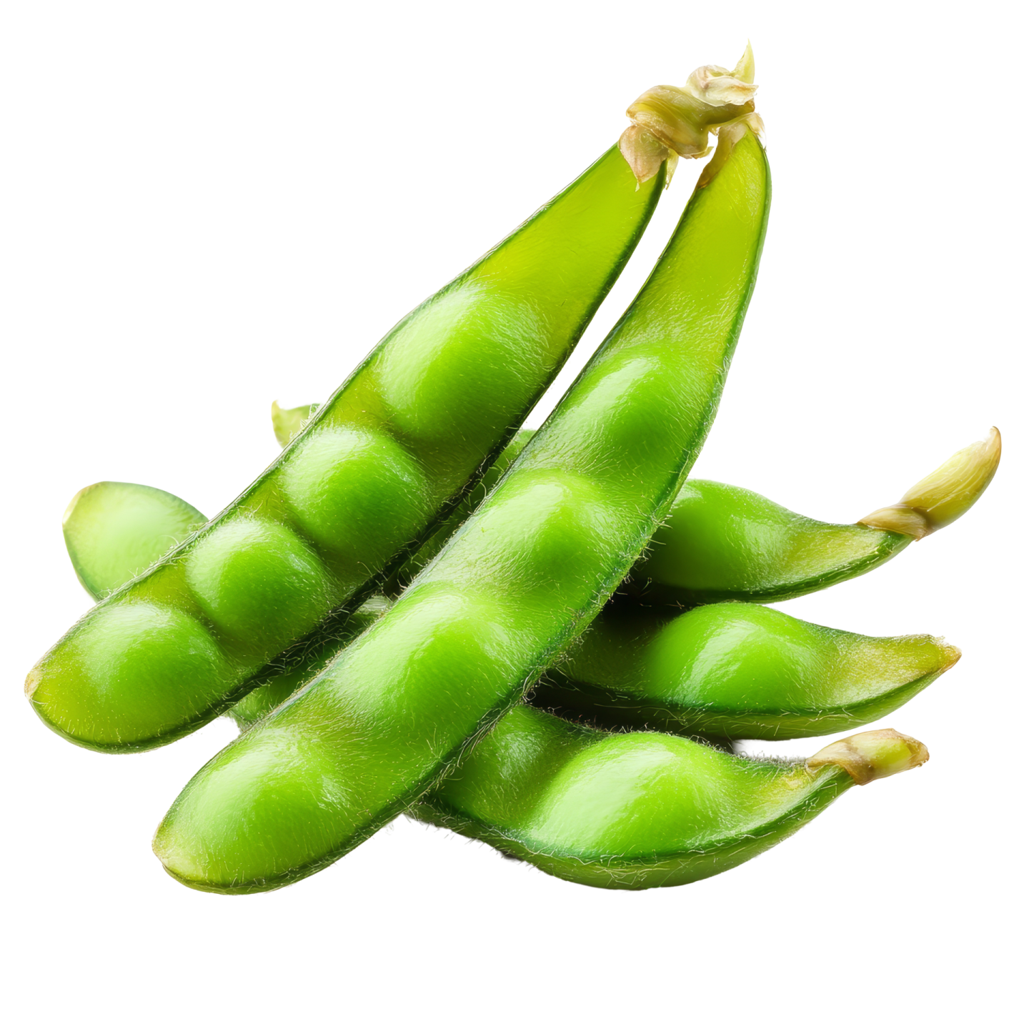 green beans on a white background