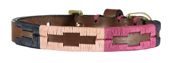 the pink and blue leather dog collar with brass hardware