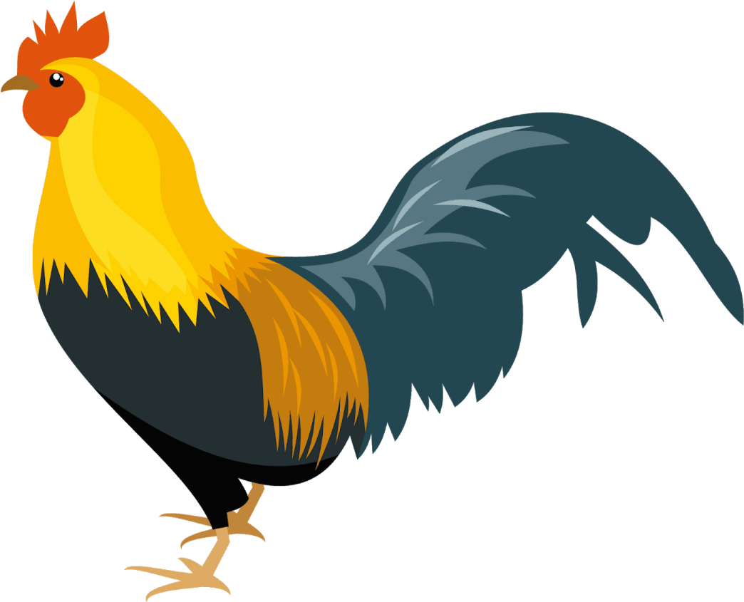 an illustration of a rooster