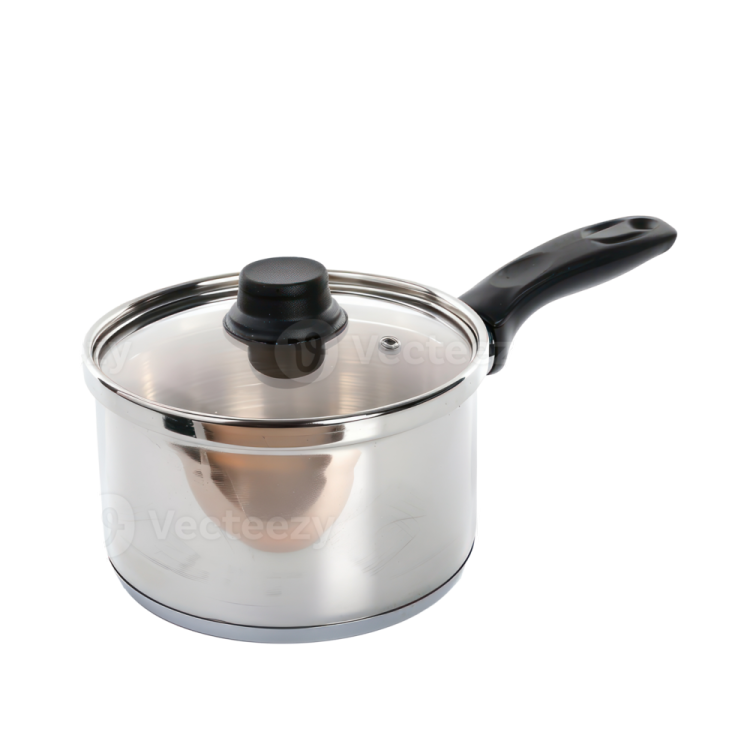 a stainless sauce pot with a lid