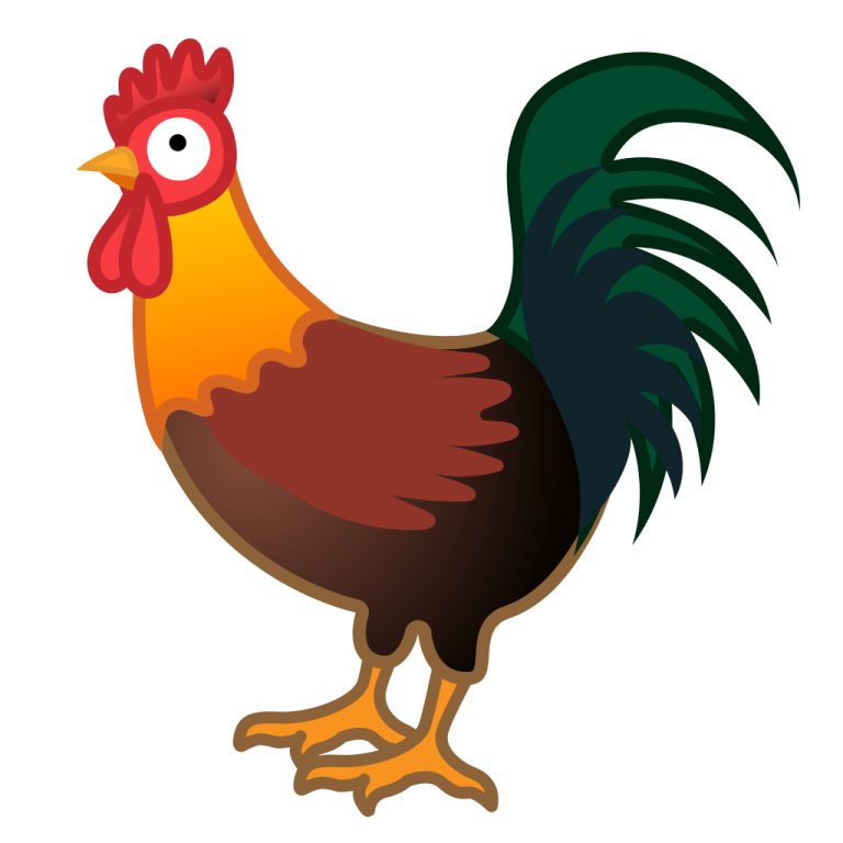 a rooster with an orange and black tail