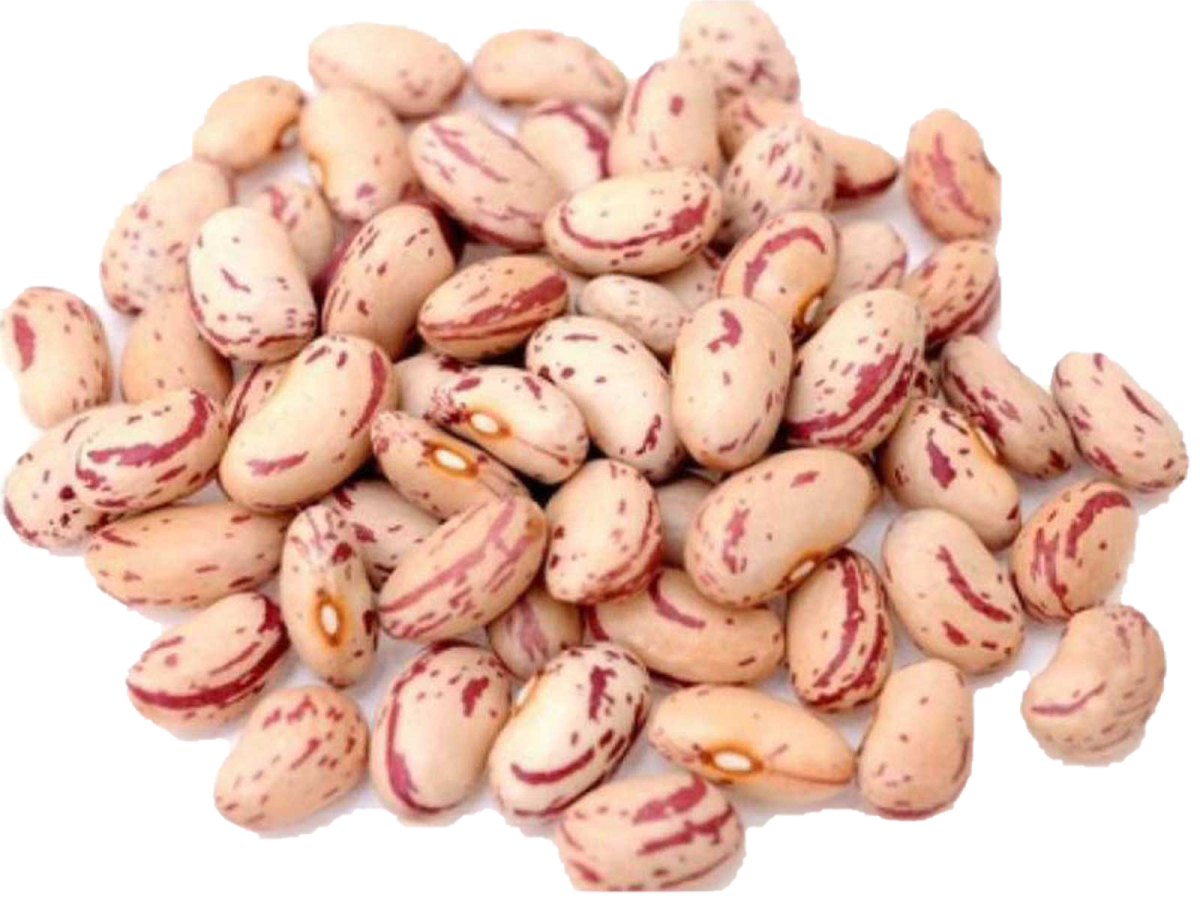 a pile of white and red peanuts