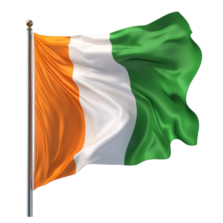 the irish flag flying in the wind
