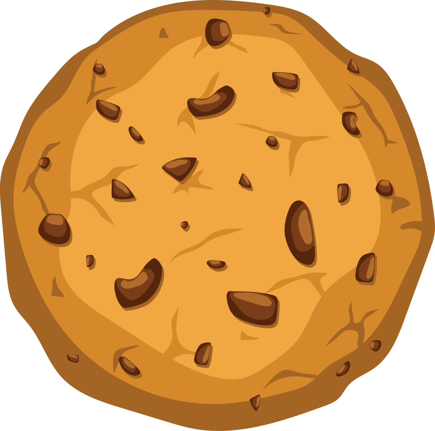 a chocolate chip cookie