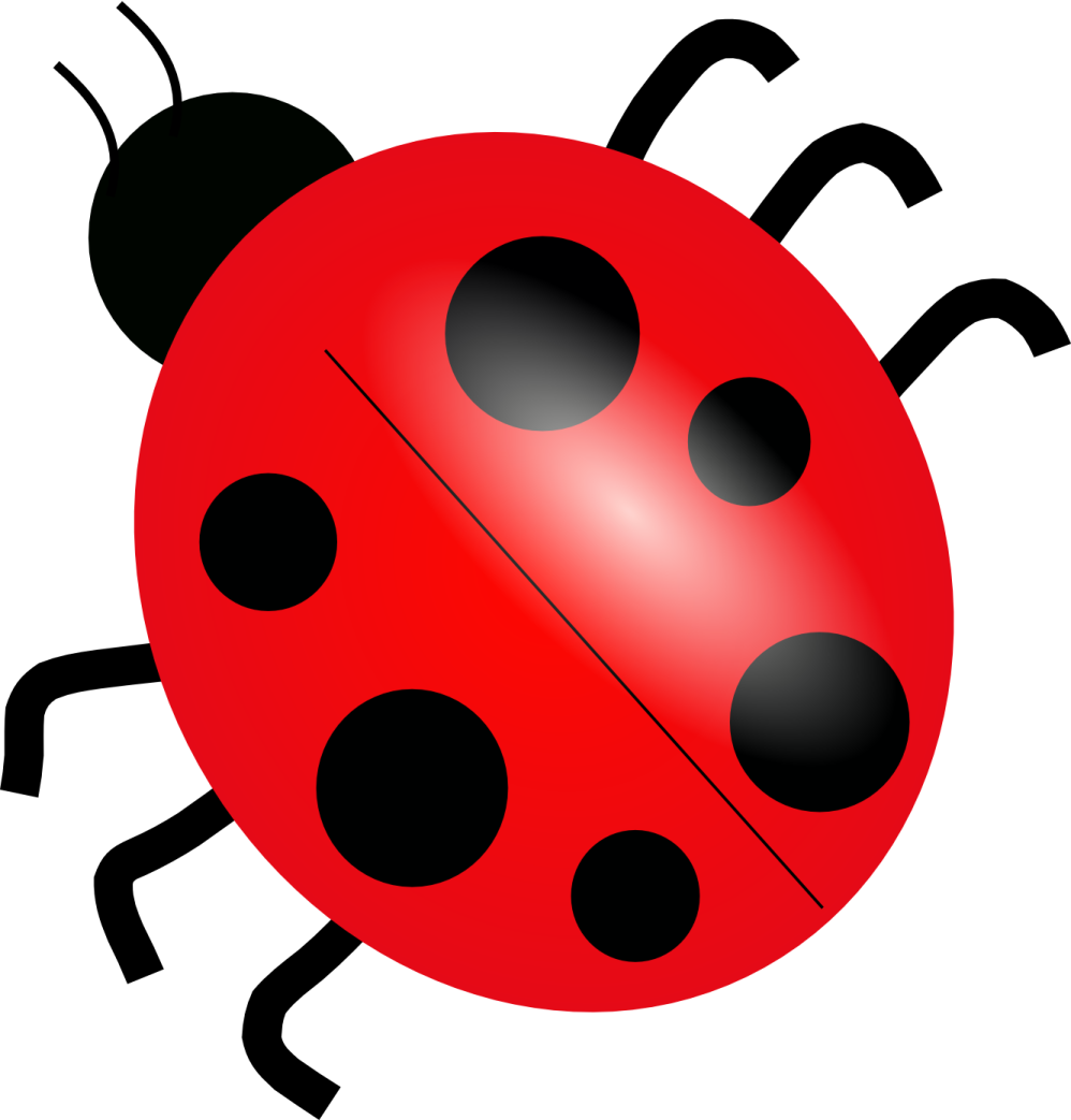 ladybug clipart - lady bug clip art