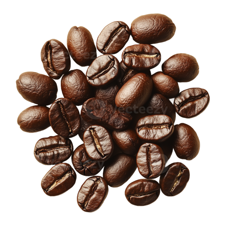 coffee beans on a white background