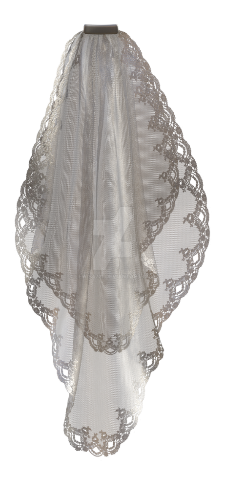 a white veil with silver embroidery on it