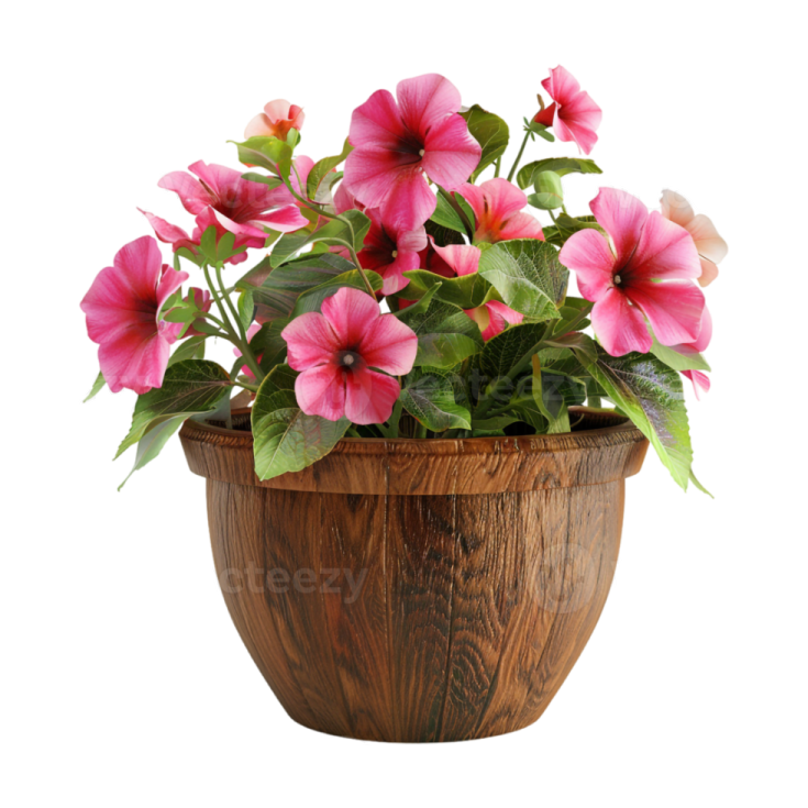 a pot with pink flowers in it