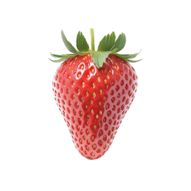 a strawberry on a white background