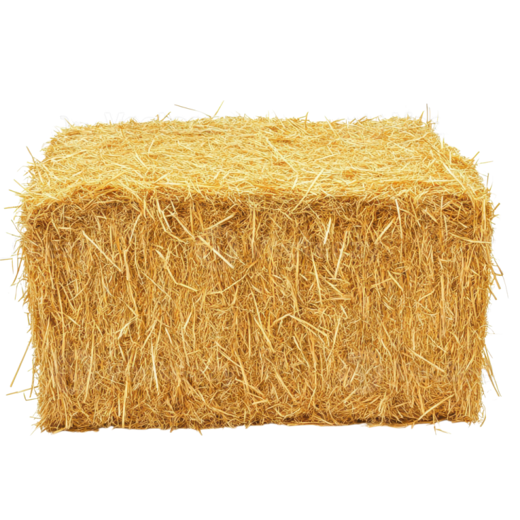 a hay bale on a white background