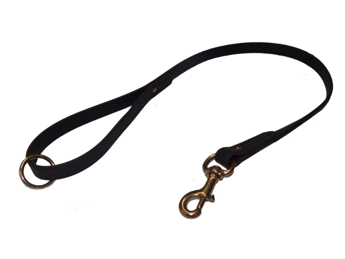 a black leather leash with brass hardware