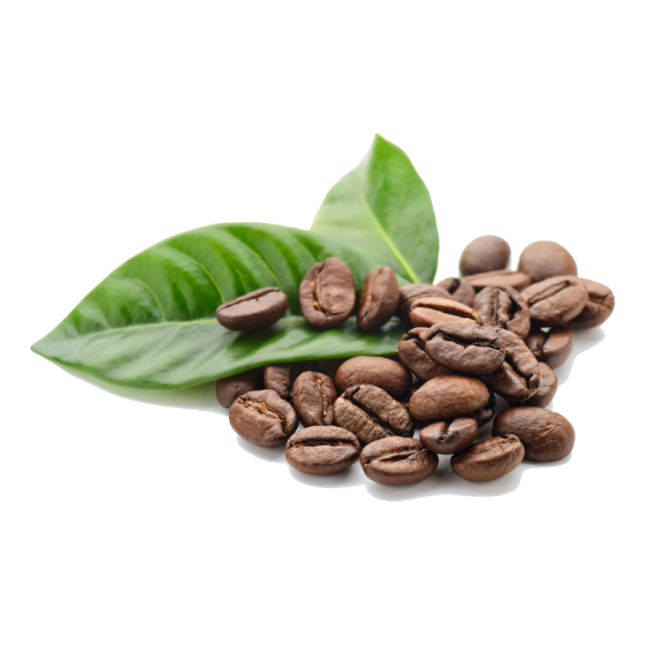 coffee beans with green leaf on white background