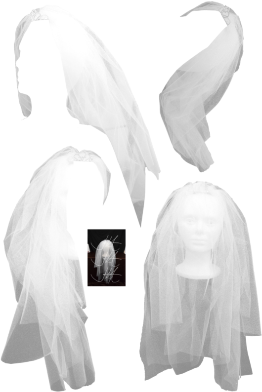 a white veil with two layers of tulle