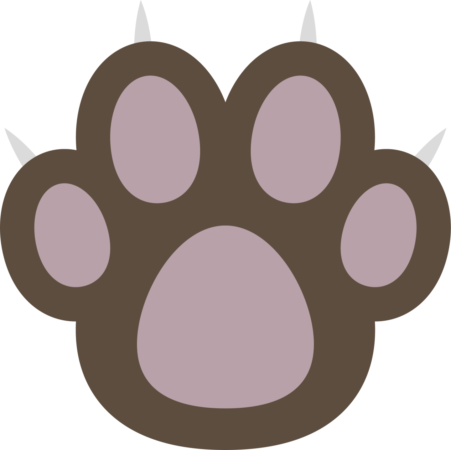 a brown bear paw with long claws