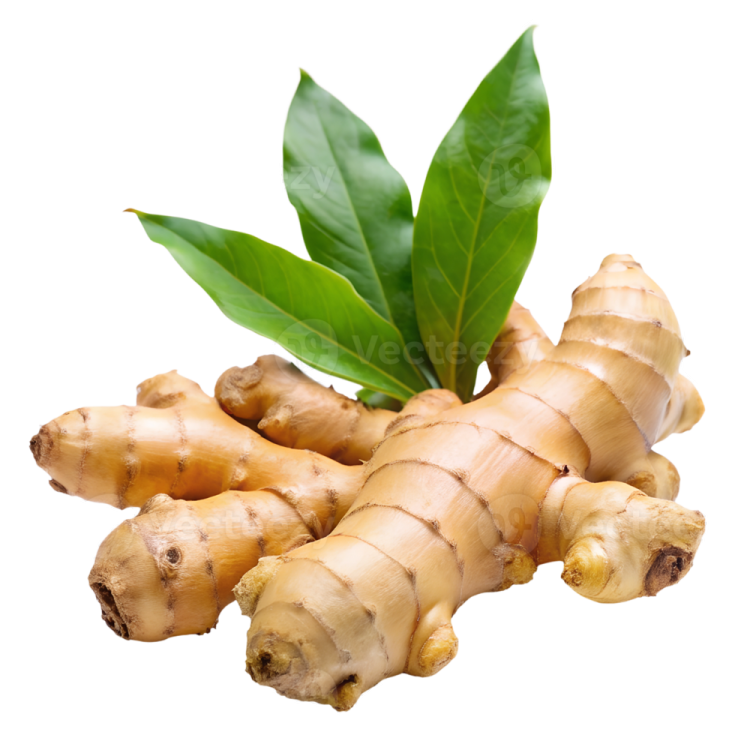 a bunch of ginger root with green leaves