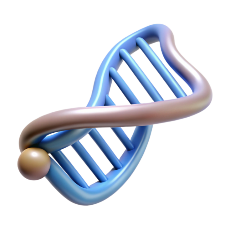 a 3d model of a dna molecule